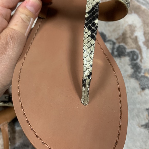 Coach Python Sandals - Picture 7 of 10